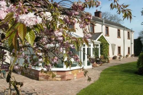 Bessiestown Country Guesthouse Carlisle  Esterno foto