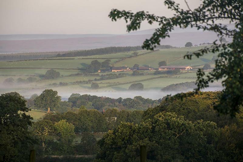 Bessiestown Country Guesthouse Carlisle  Esterno foto