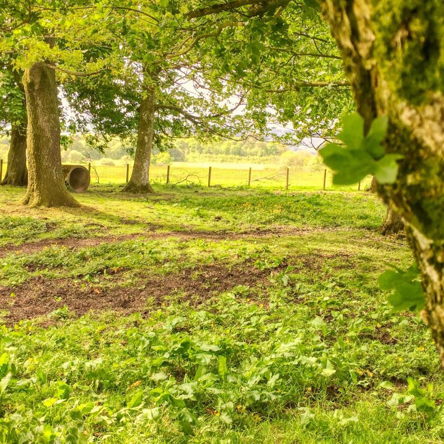 Bessiestown Country Guesthouse Carlisle  Esterno foto